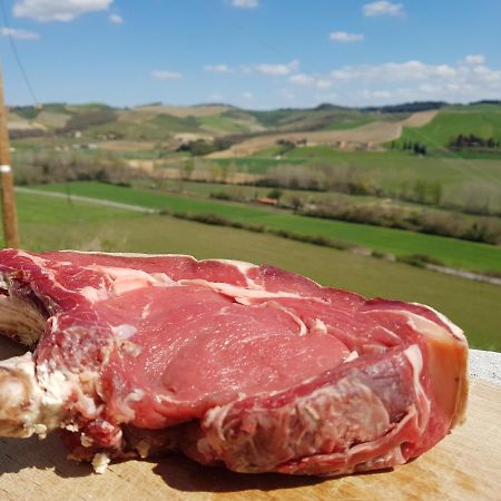 Agriturismo Montepinci Montalcino Kültér fotó
