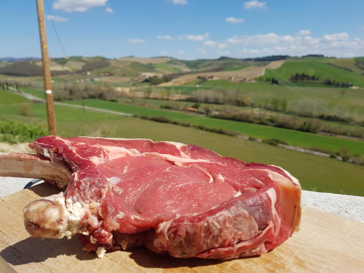 Agriturismo Montepinci Montalcino Kültér fotó